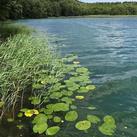 Winne Wzgorze Hébergement de vacances