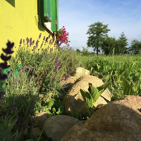 Hébergement de vacances Winne Wzgorze *