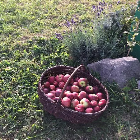 Hébergement de vacances Winne Wzgorze